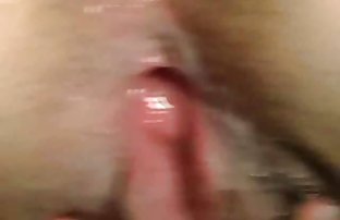 stoya